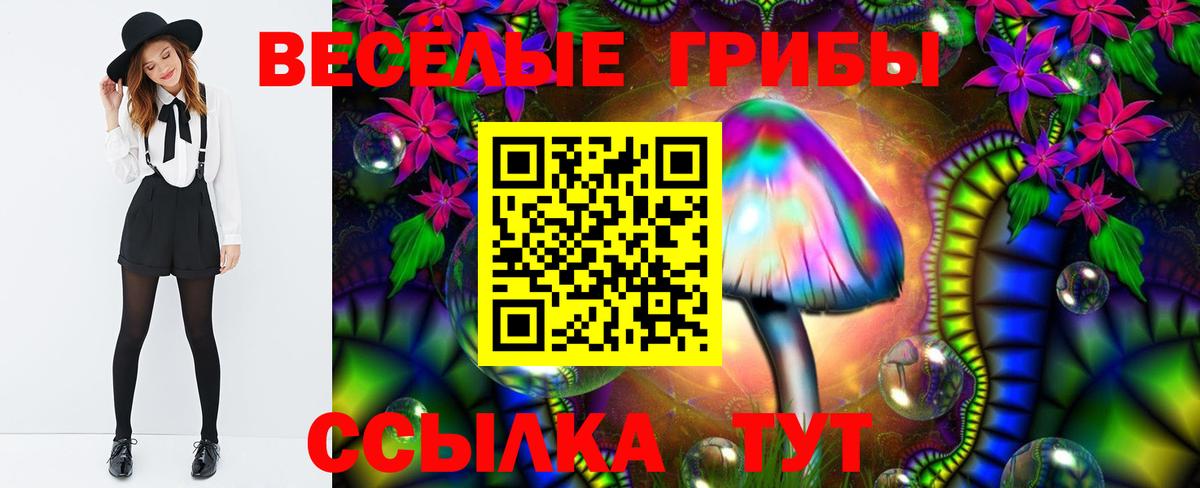 Псилоцибиновые грибы Psilocybine cubensis  Вход с VPN  Югорск 